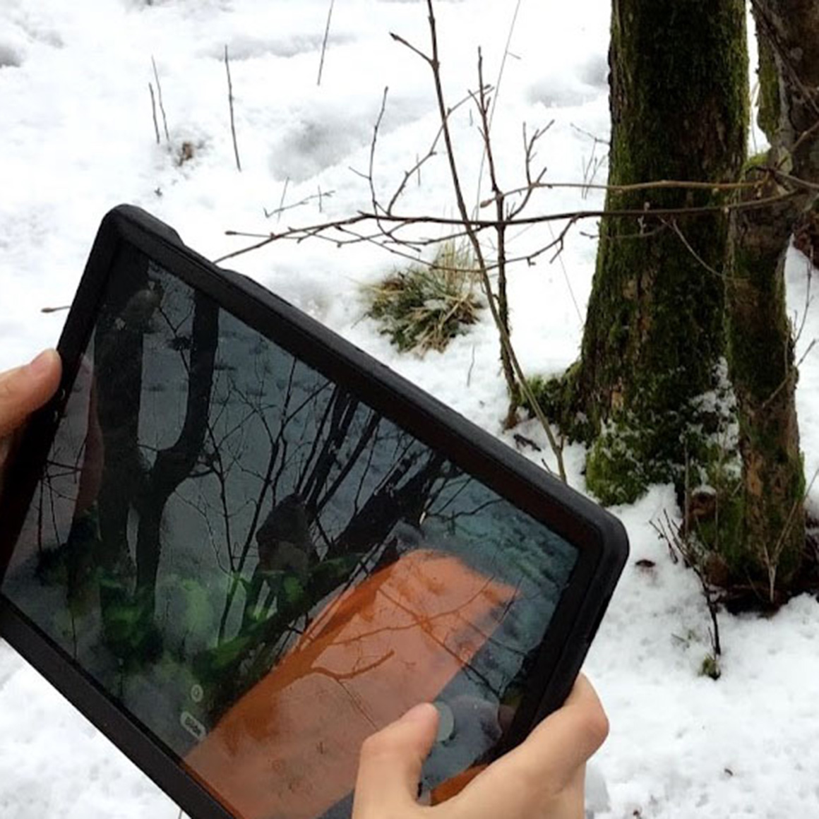 Barn utforsker naturen ute med iPad